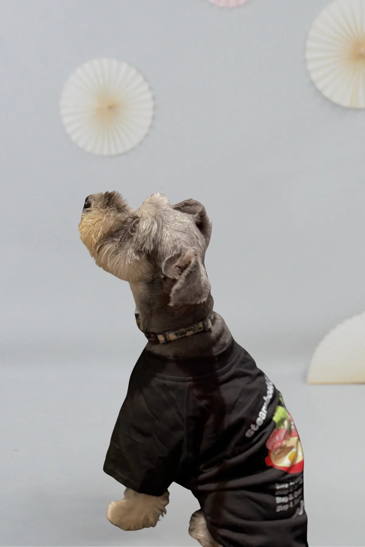 My Fav Liao Steamboat Tee Matching Pet Tee