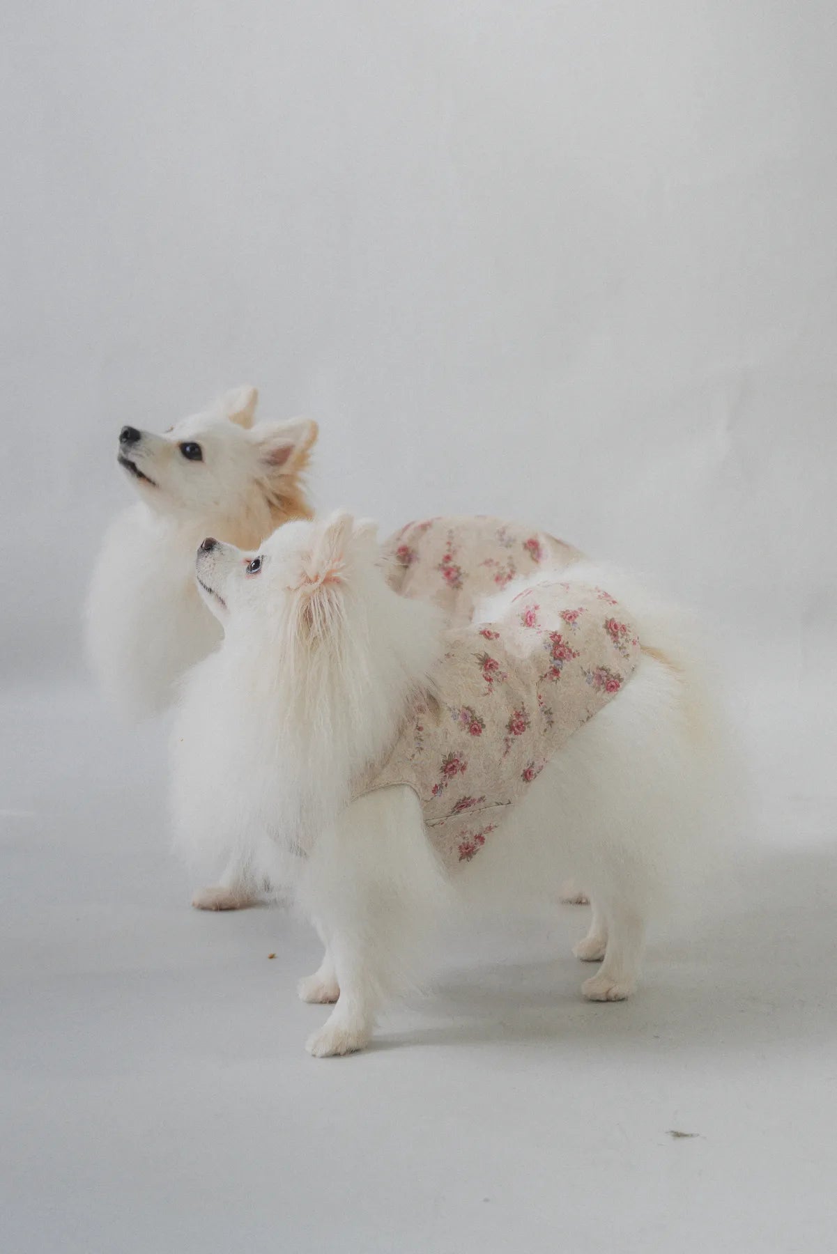 Hana Matching Pet Vest