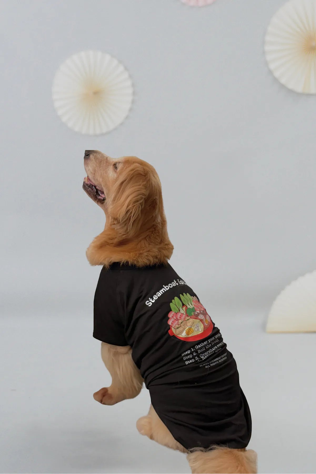 My Fav Liao Steamboat Tee Matching Pet Tee