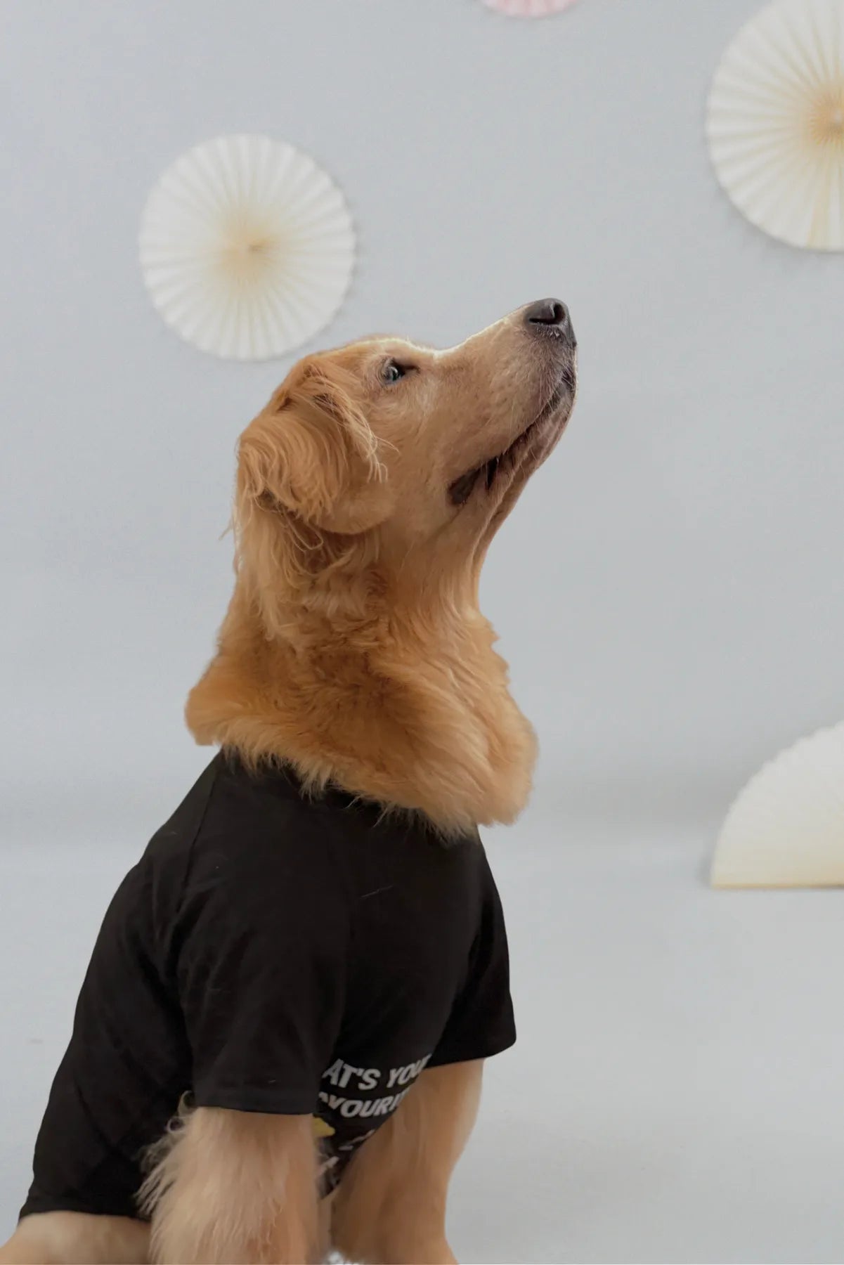 My Fav Liao Steamboat Tee Matching Pet Tee