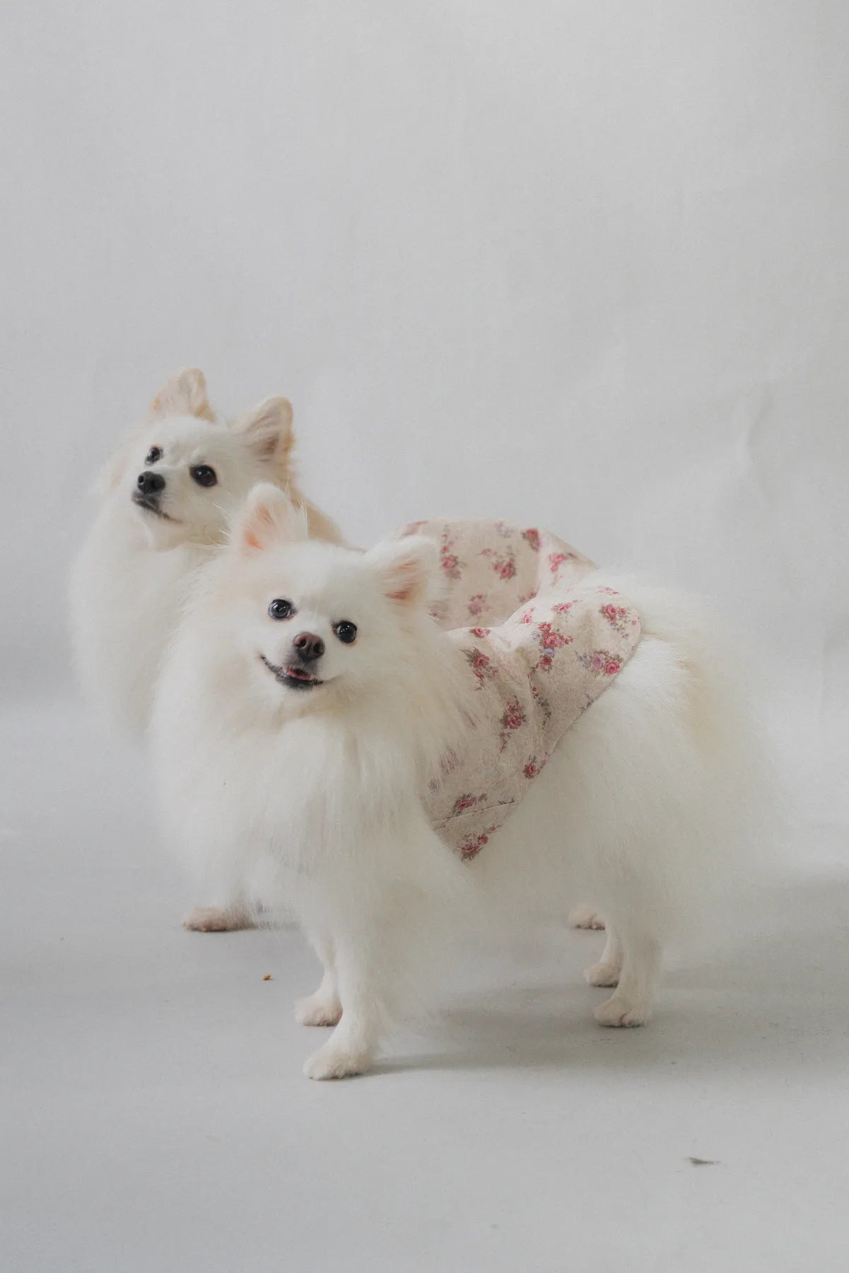 Hana Matching Pet Vest