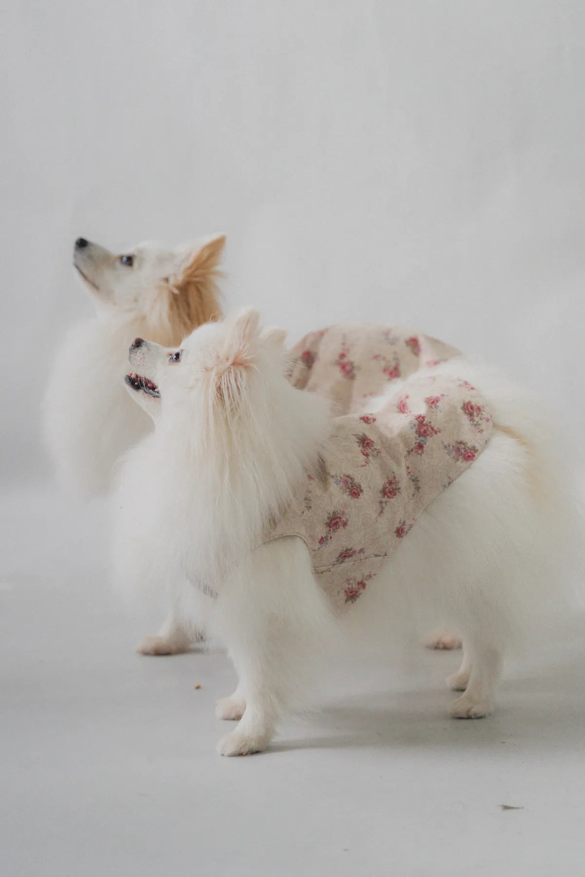 Hana Matching Pet Vest