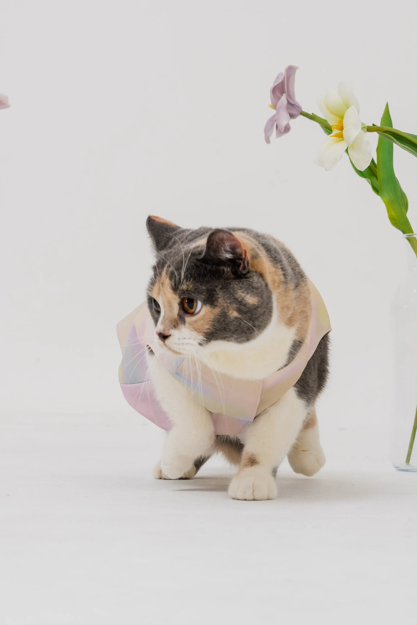 Bloom Buddies Pet Vest