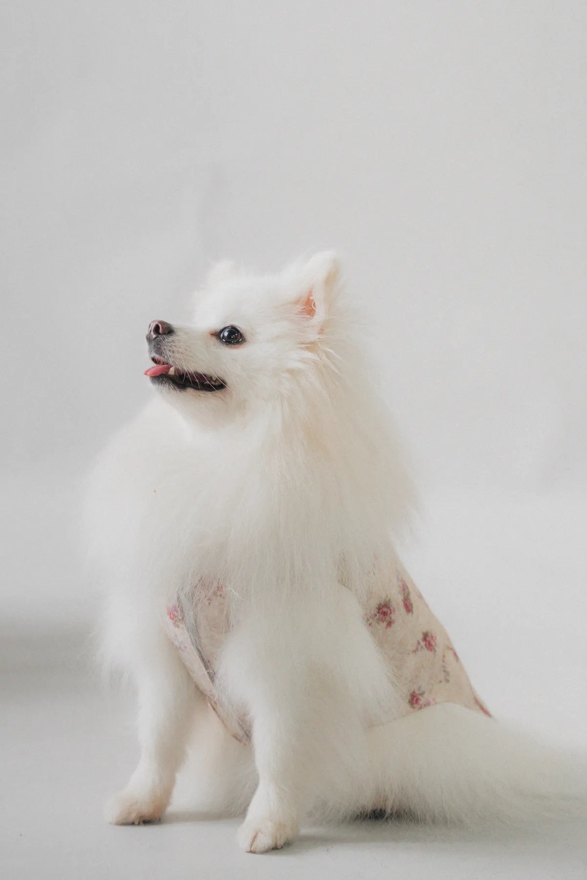 Hana Matching Pet Vest