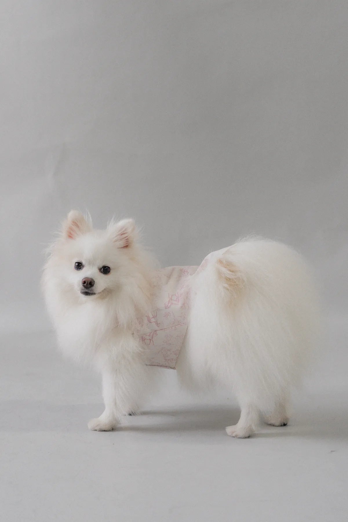 Uma Matching Pet Vest