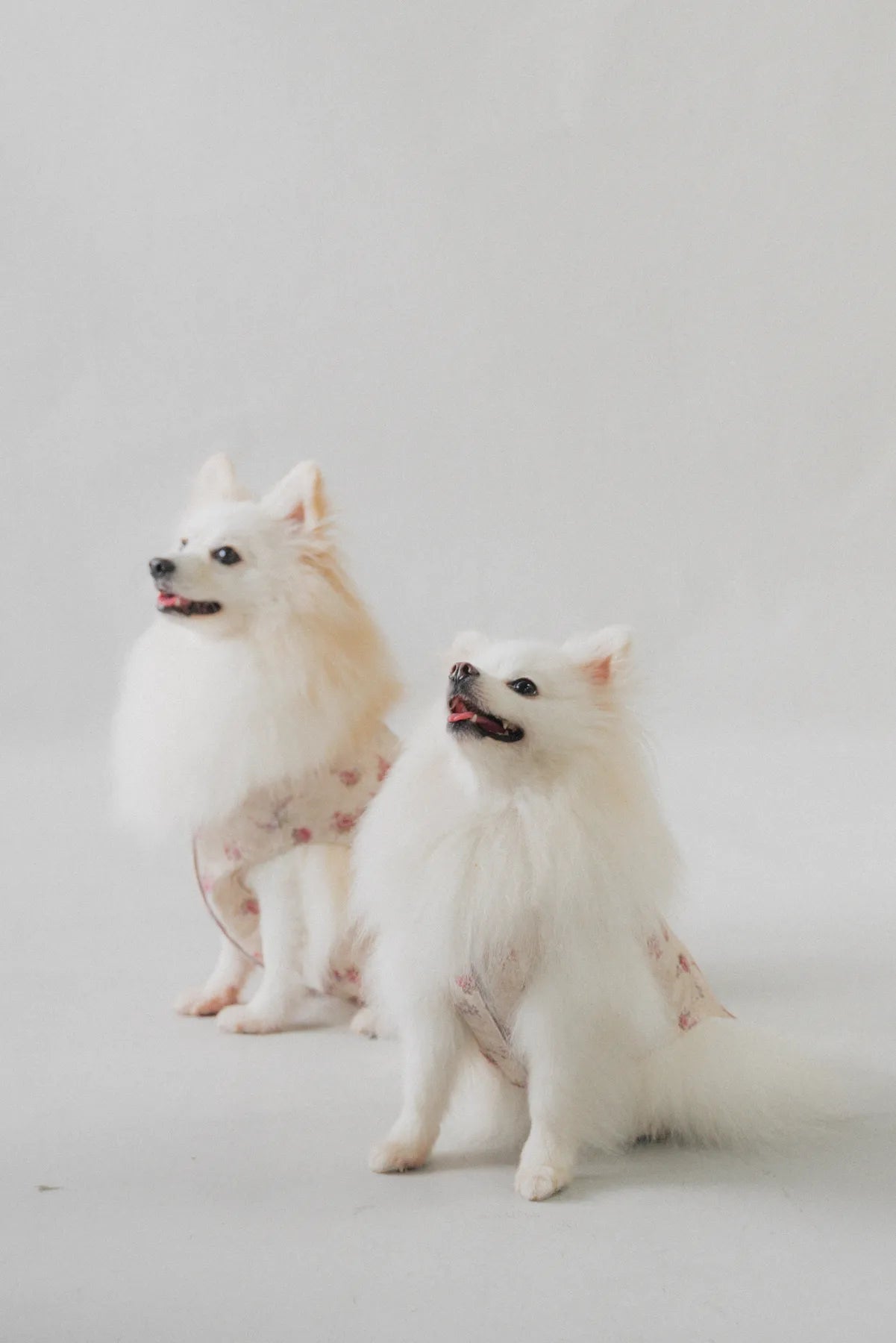 Hana Matching Pet Vest