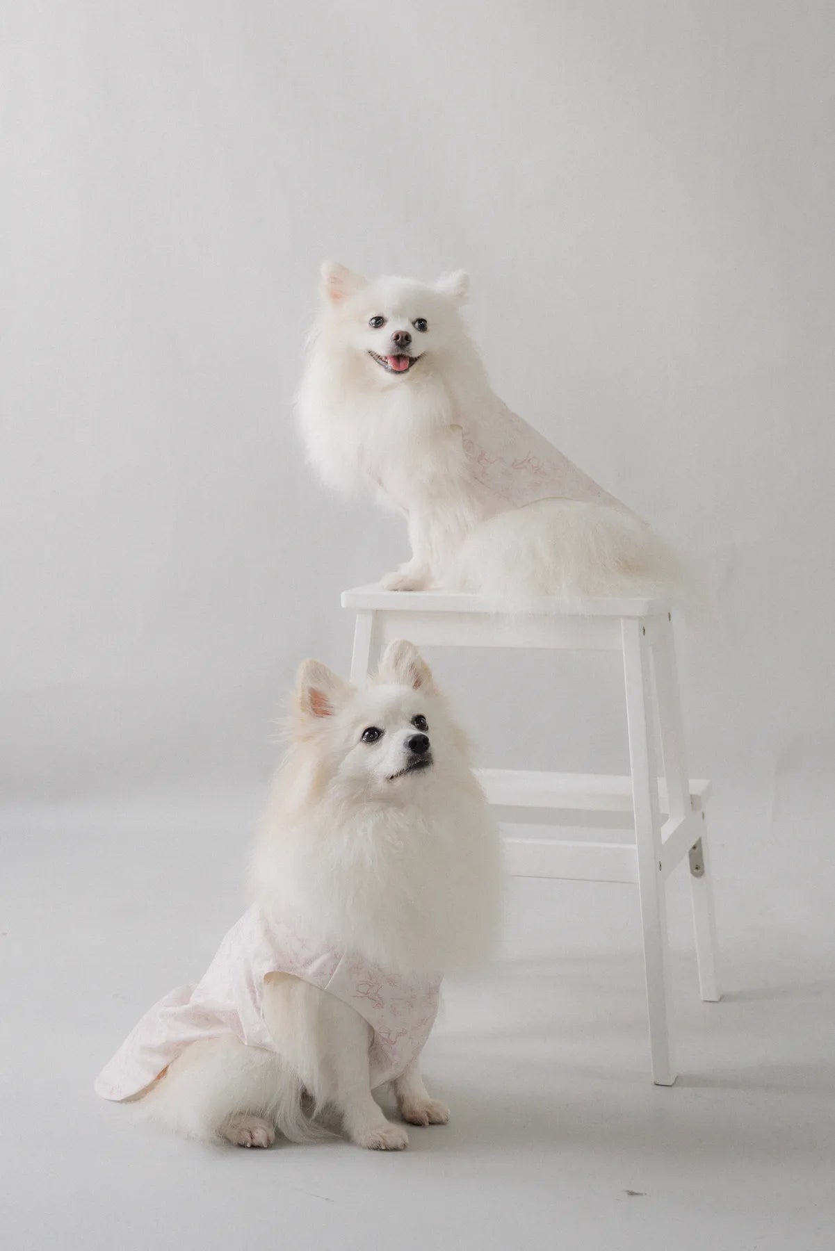 Uma Matching Pet Vest