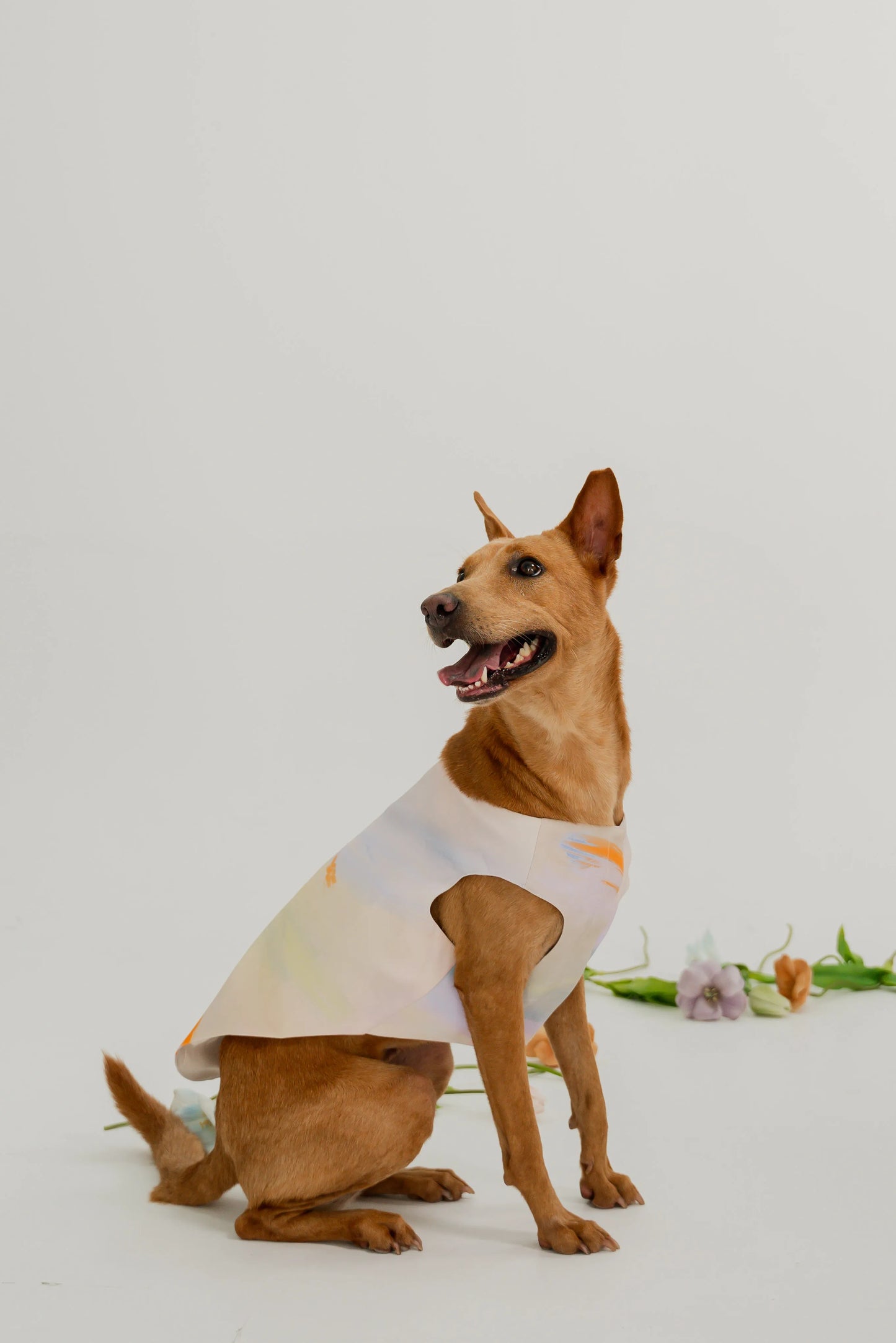 Bloom Buddies Pet Vest