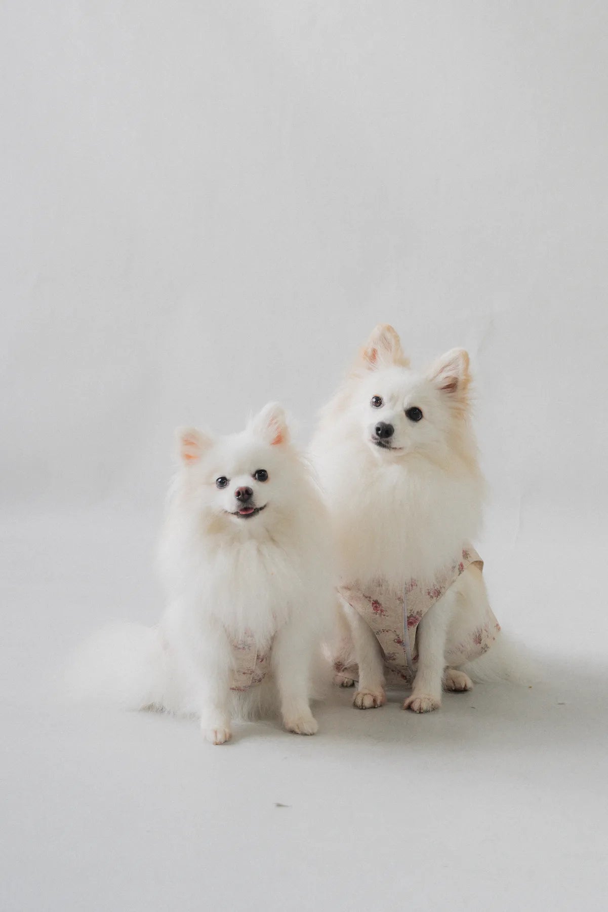 Hana Matching Pet Vest