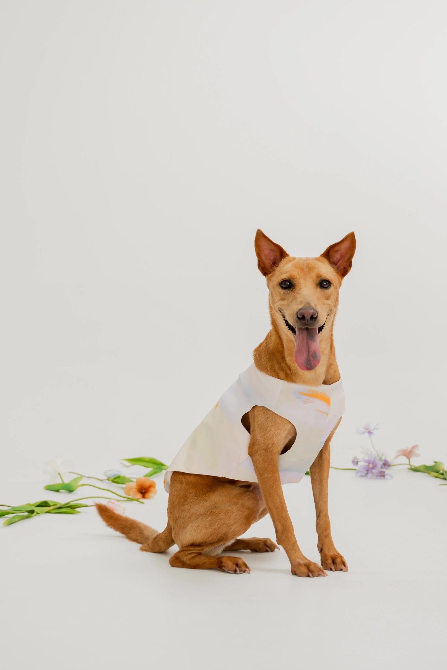 Bloom Buddies Pet Vest