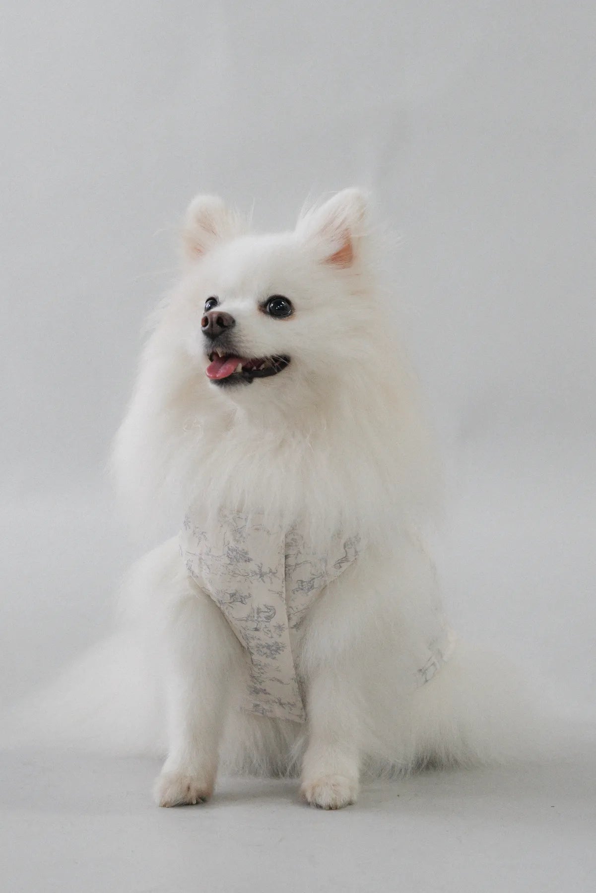 Uma Matching Pet Vest