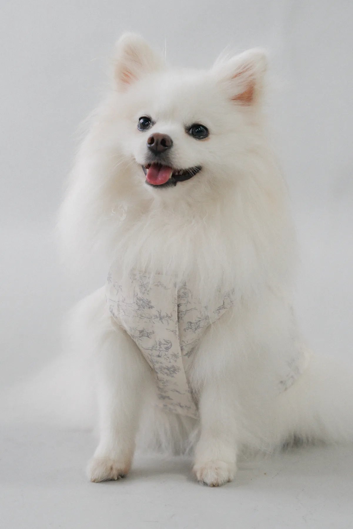 Uma Matching Pet Vest