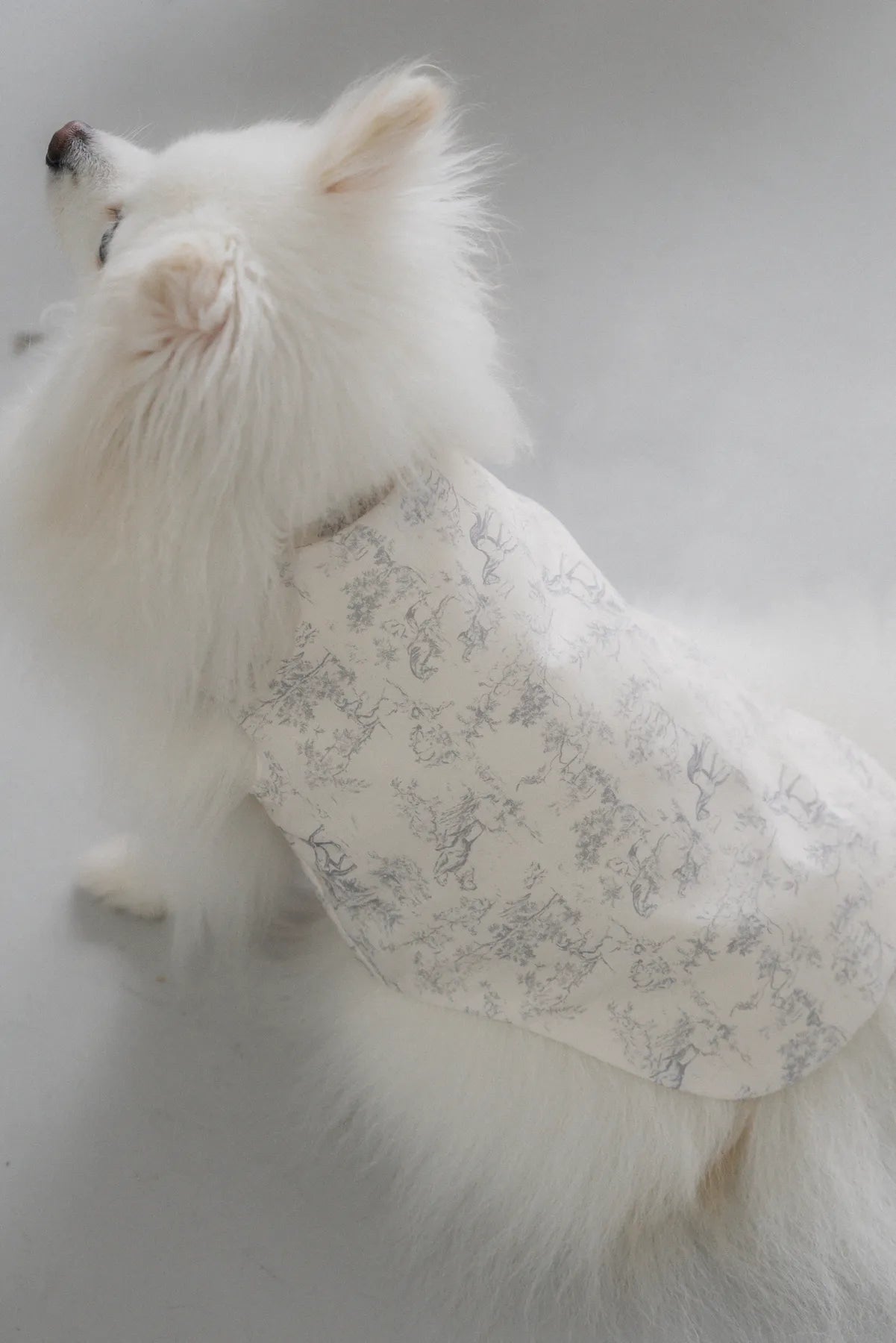 Uma Matching Pet Vest