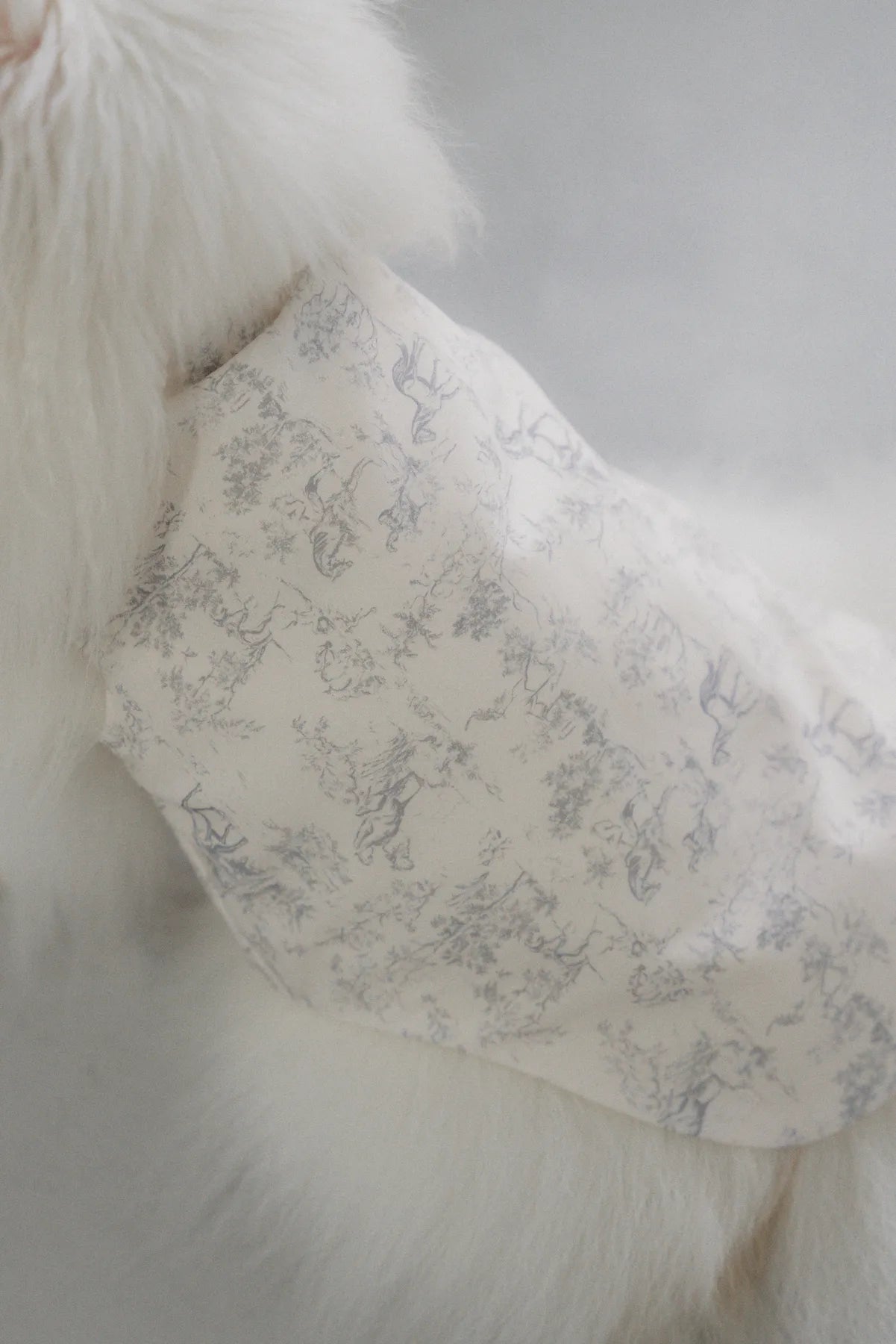 Uma Matching Pet Vest