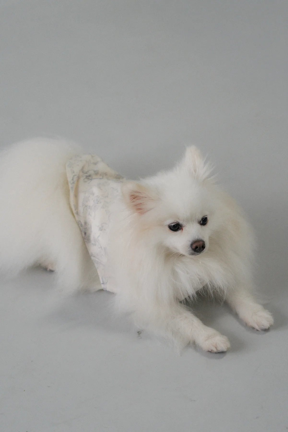 Uma Matching Pet Vest