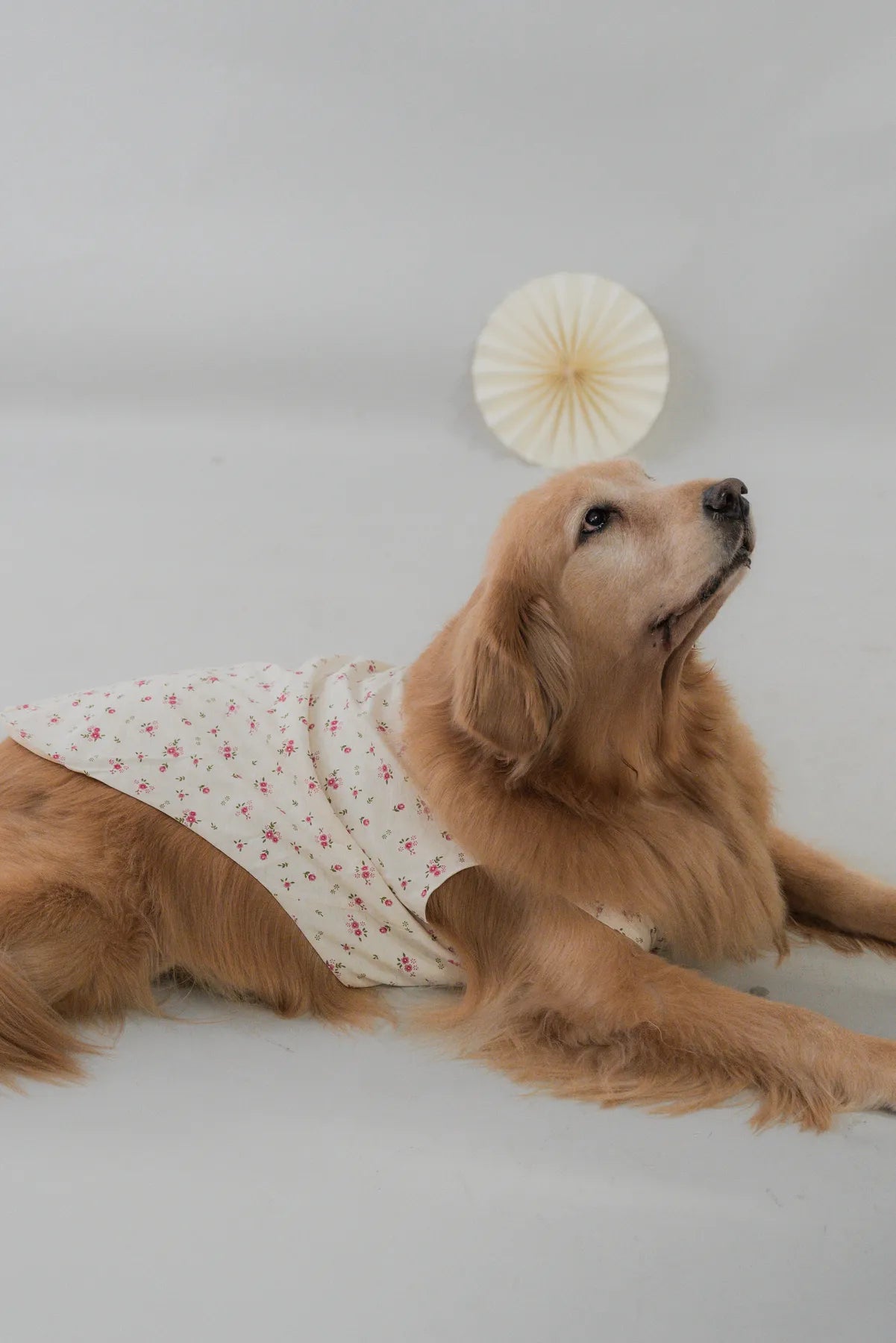 [COL FUKU] Fuku Matching Pet Vest