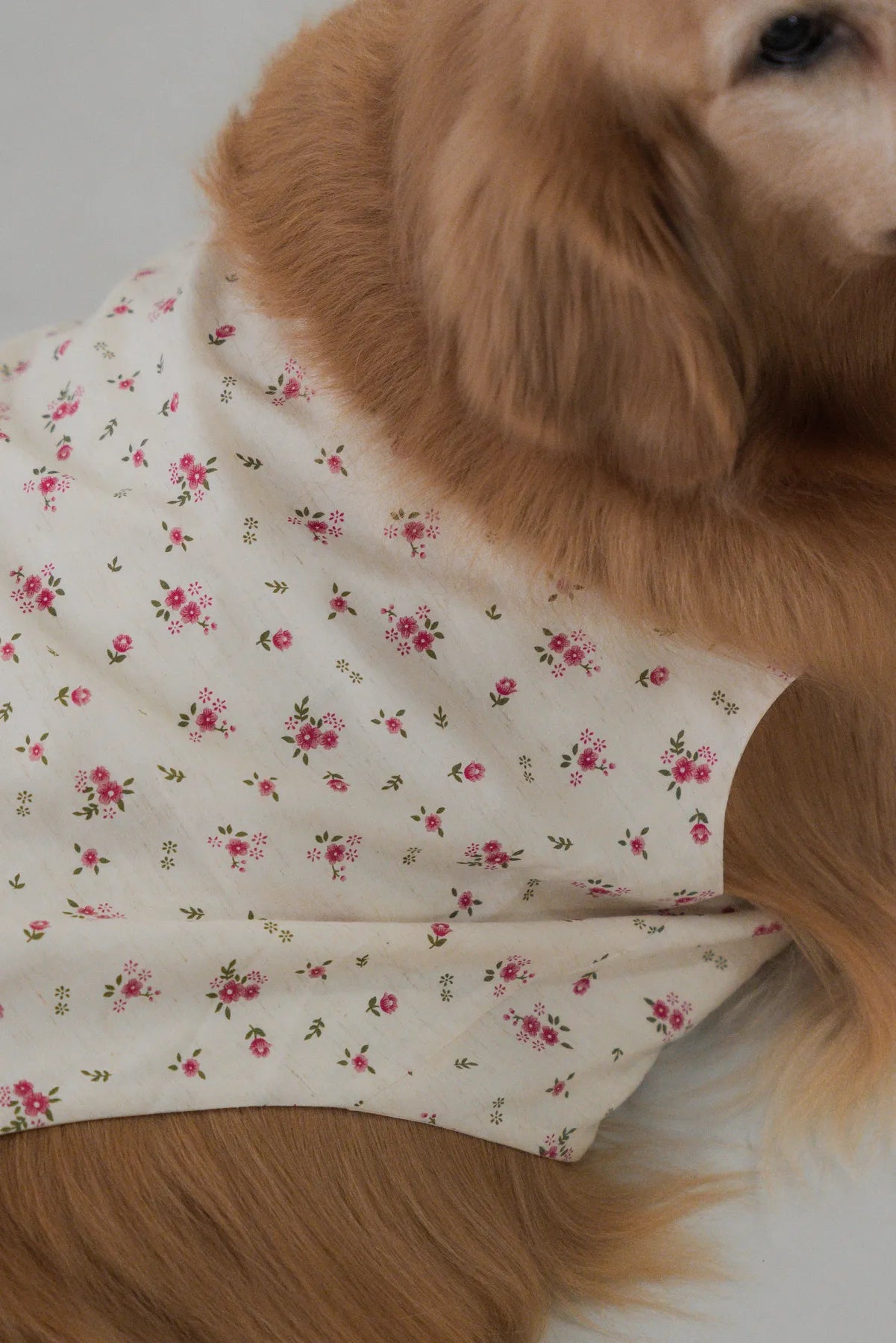 [COL FUKU] Fuku Matching Pet Vest
