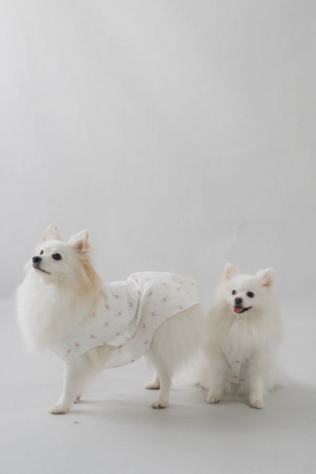 [COL YORI] Yori Matching Pet Vest