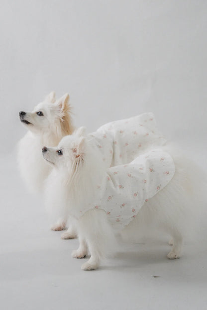 [COL YORI] Yori Matching Pet Vest