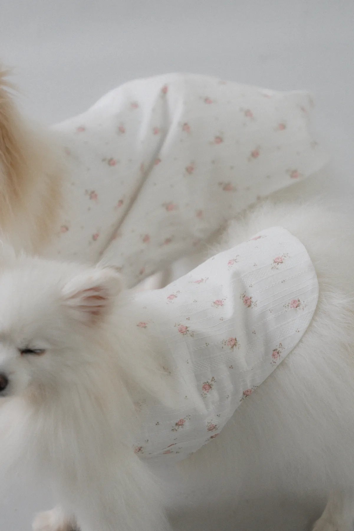 [COL YORI] Yori Matching Pet Vest