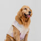 Bloom Buddies Pet Vest