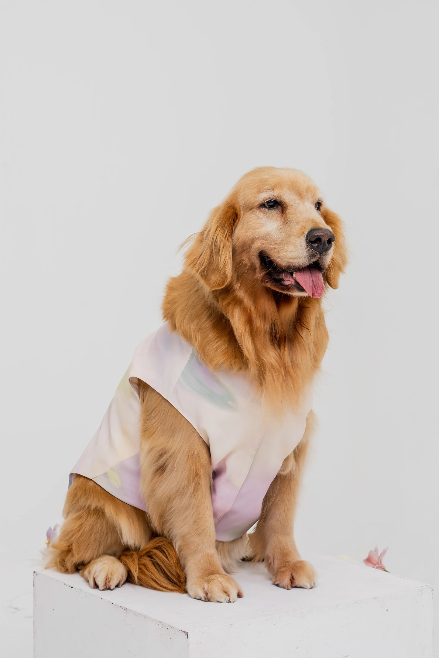 Bloom Buddies Pet Vest