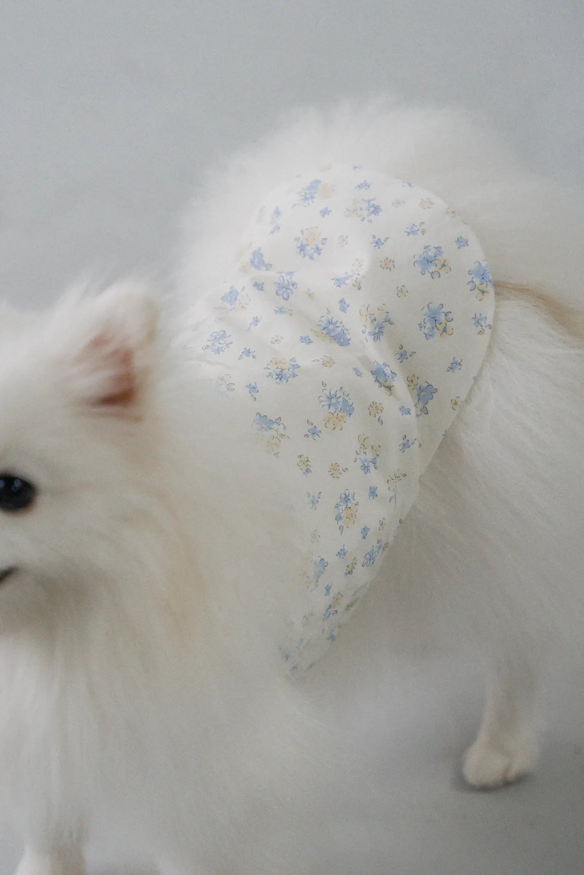 [COL YORI] Yori Matching Pet Vest