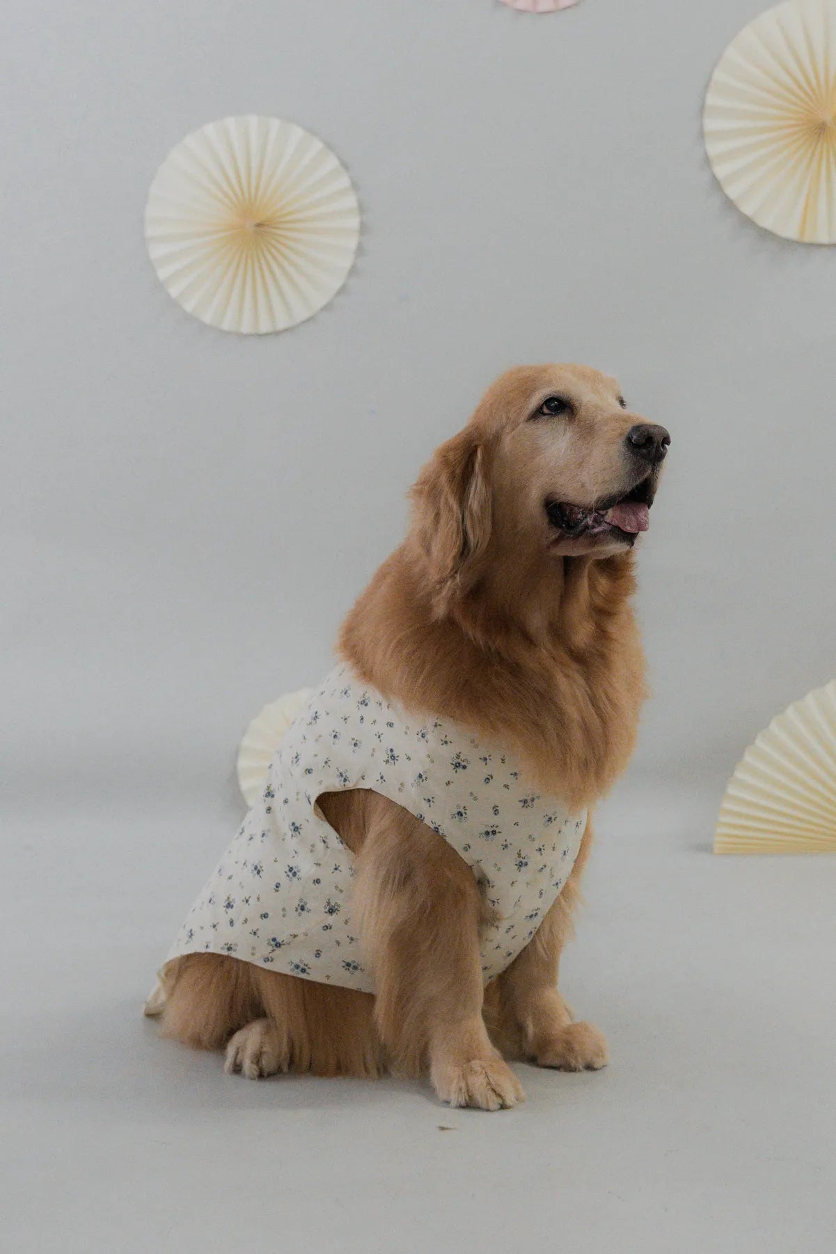 [COL FUKU] Fuku Matching Pet Vest