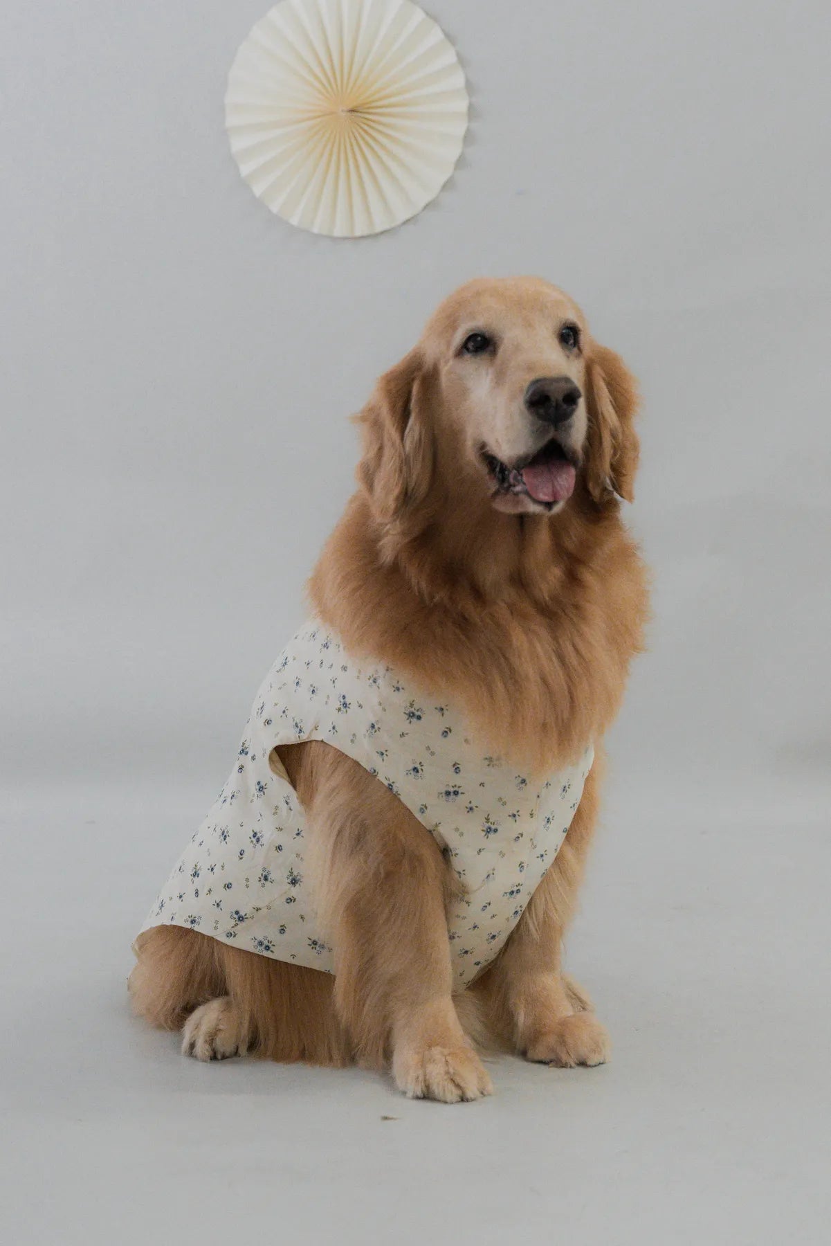 [COL FUKU] Fuku Matching Pet Vest