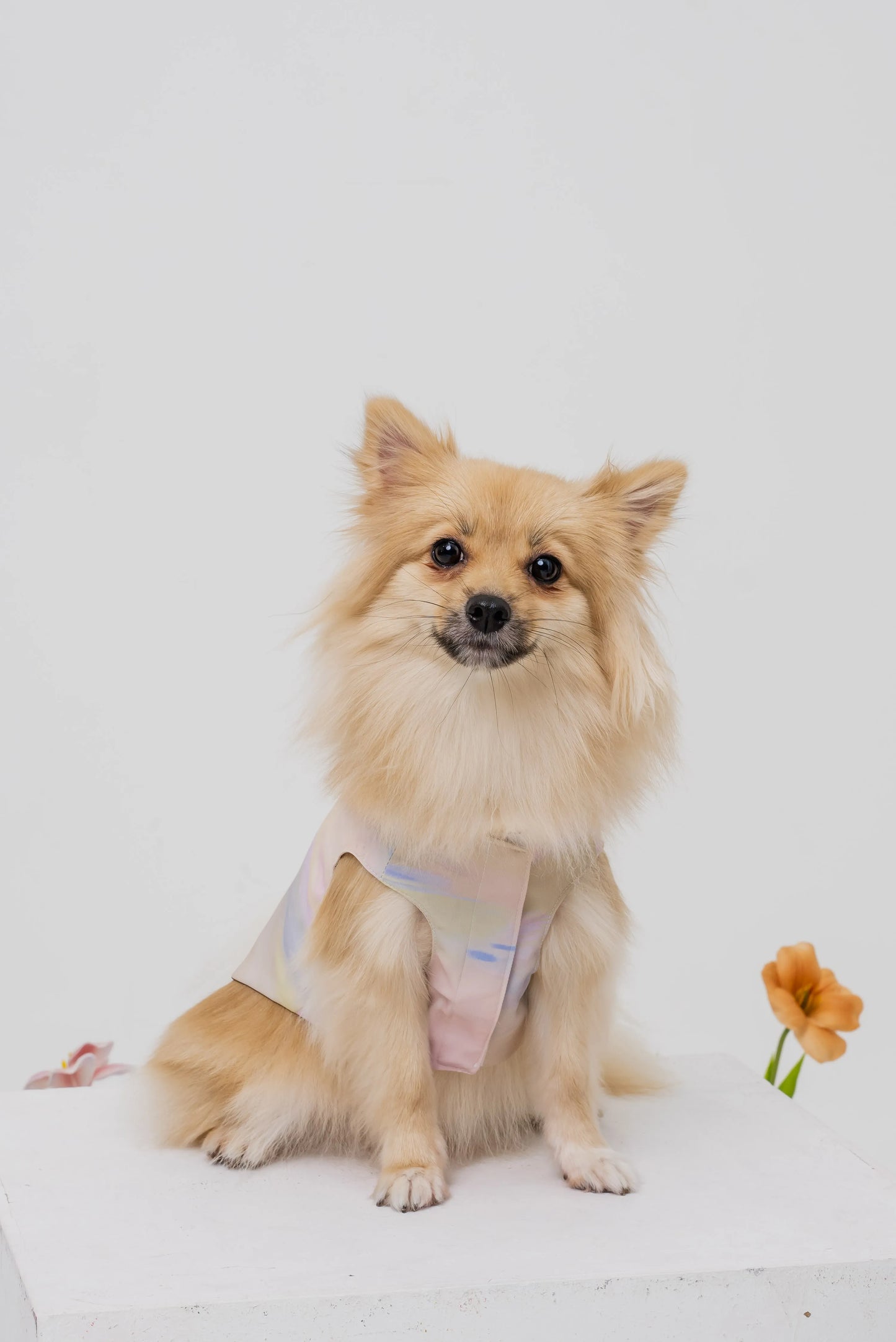 Bloom Buddies Pet Vest