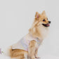 Bloom Buddies Pet Vest