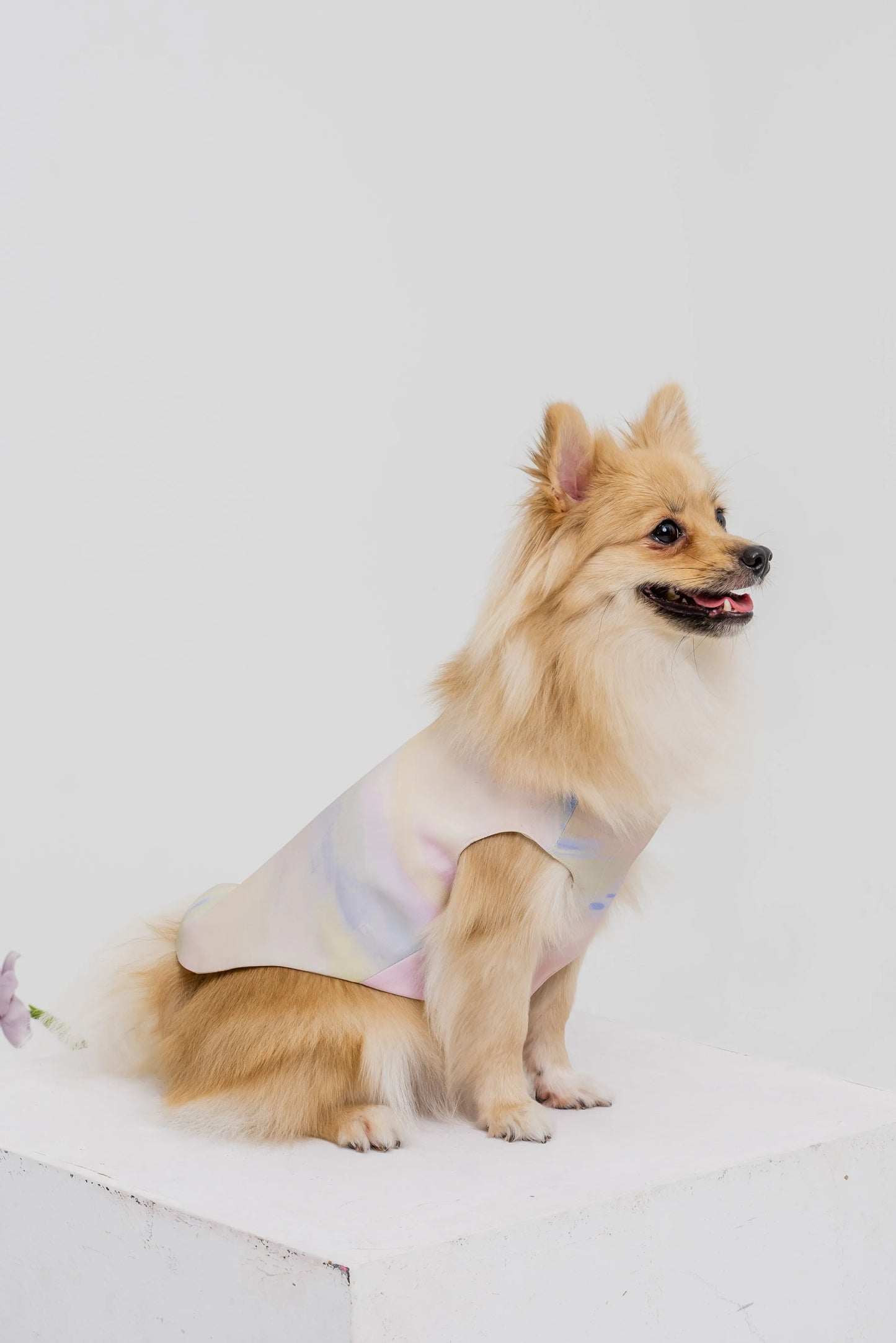 Bloom Buddies Pet Vest