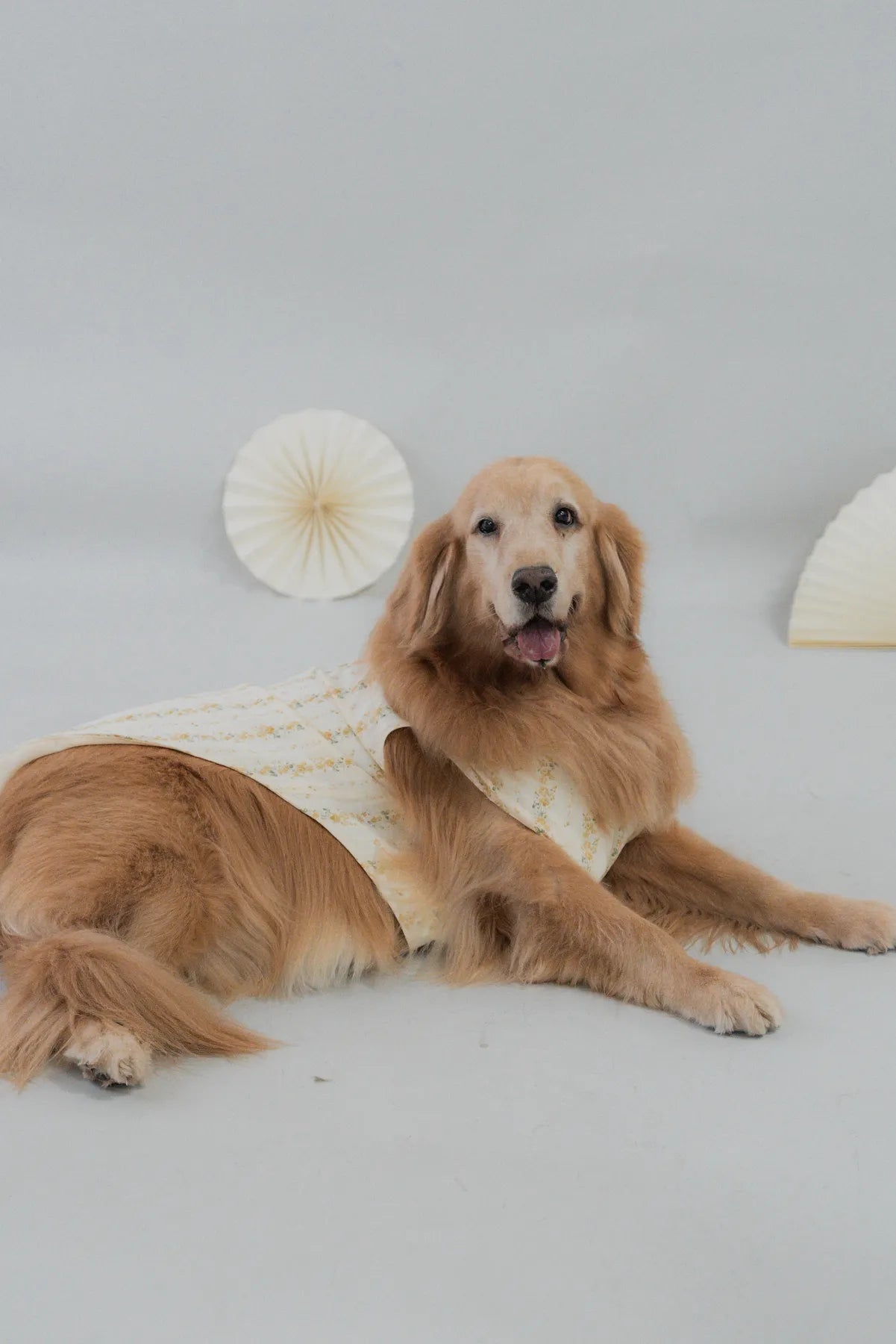 [COL HARU] Haru Matching Pet Vest