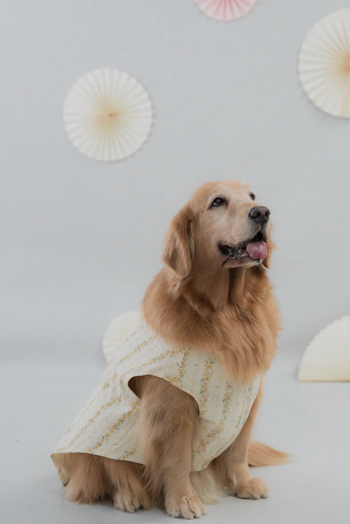 [COL HARU] Haru Matching Pet Vest