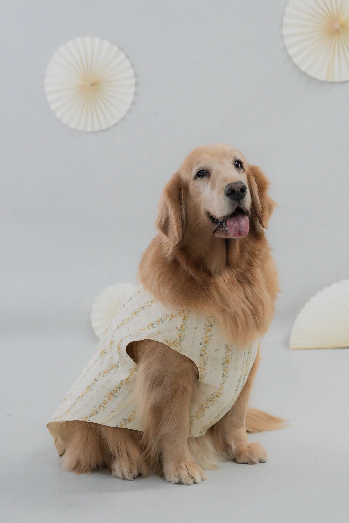 [COL HARU] Haru Matching Pet Vest