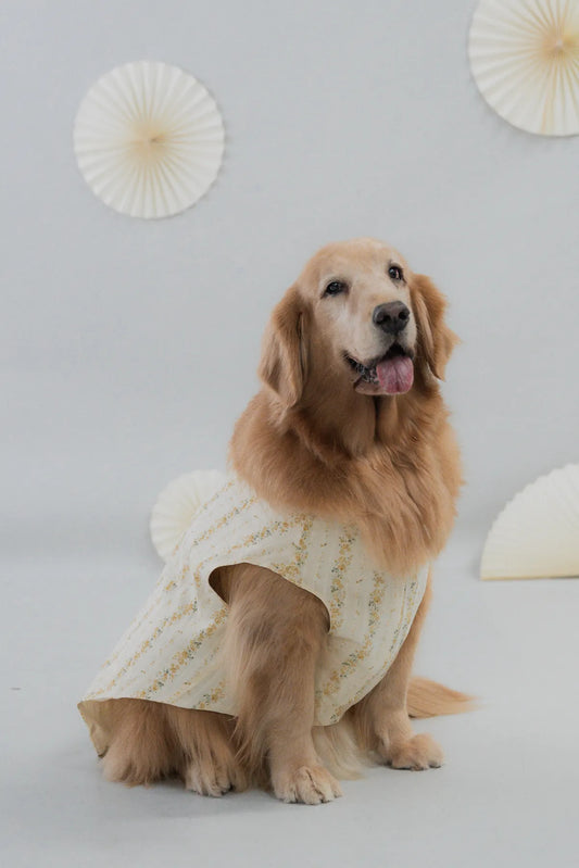 [COL HARU] Haru Matching Pet Vest