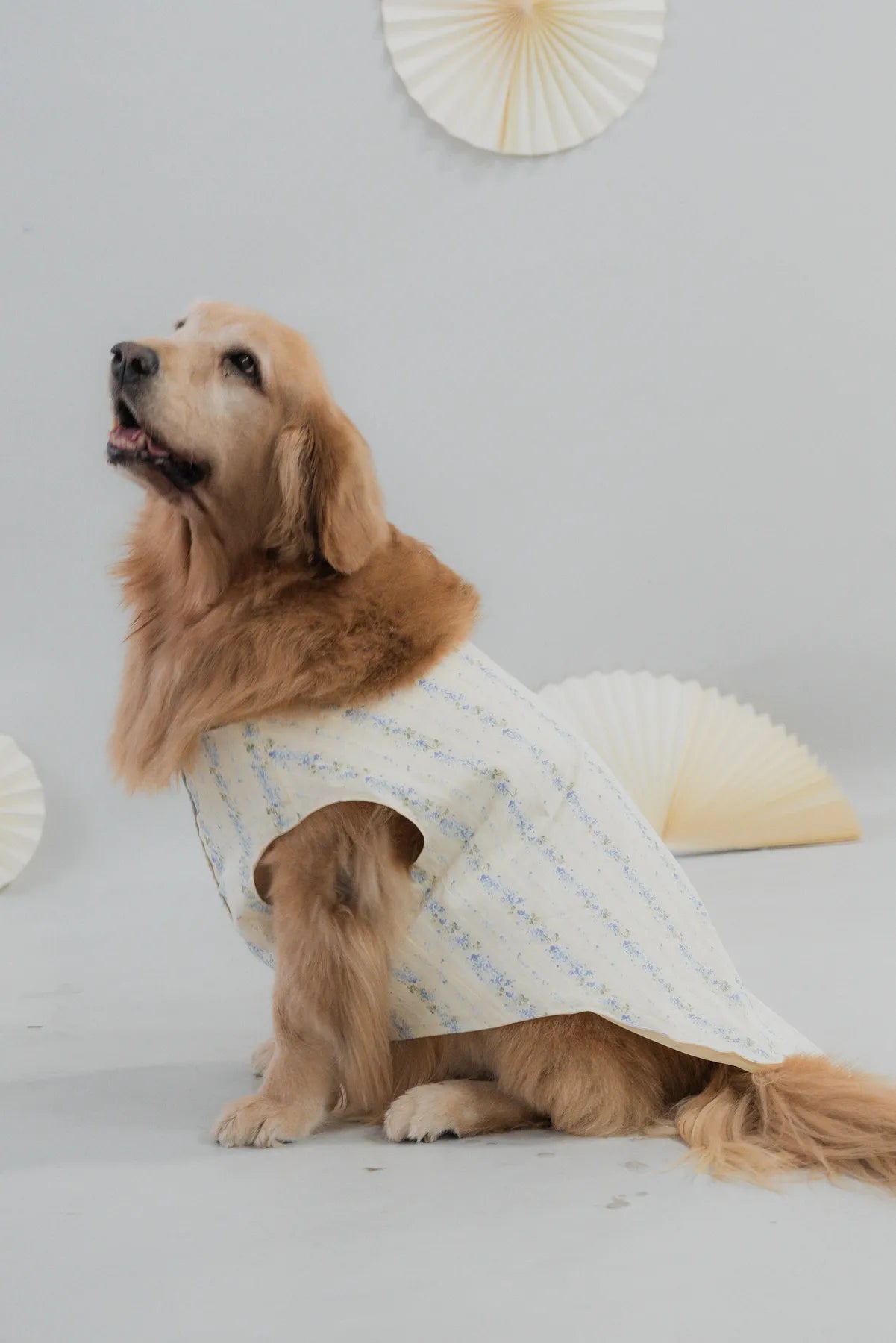 [COL HARU] Haru Matching Pet Vest