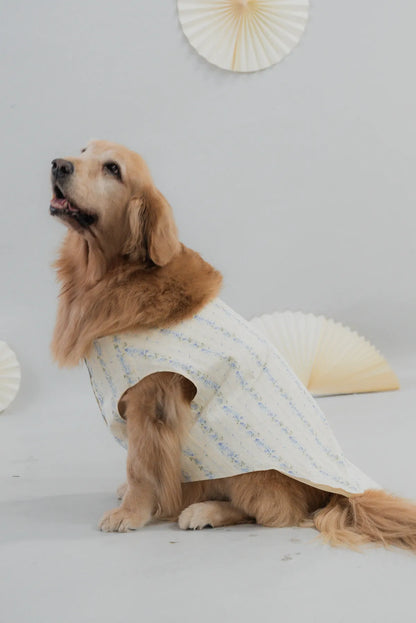 [COL HARU] Haru Matching Pet Vest