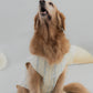 [COL HARU] Haru Matching Pet Vest