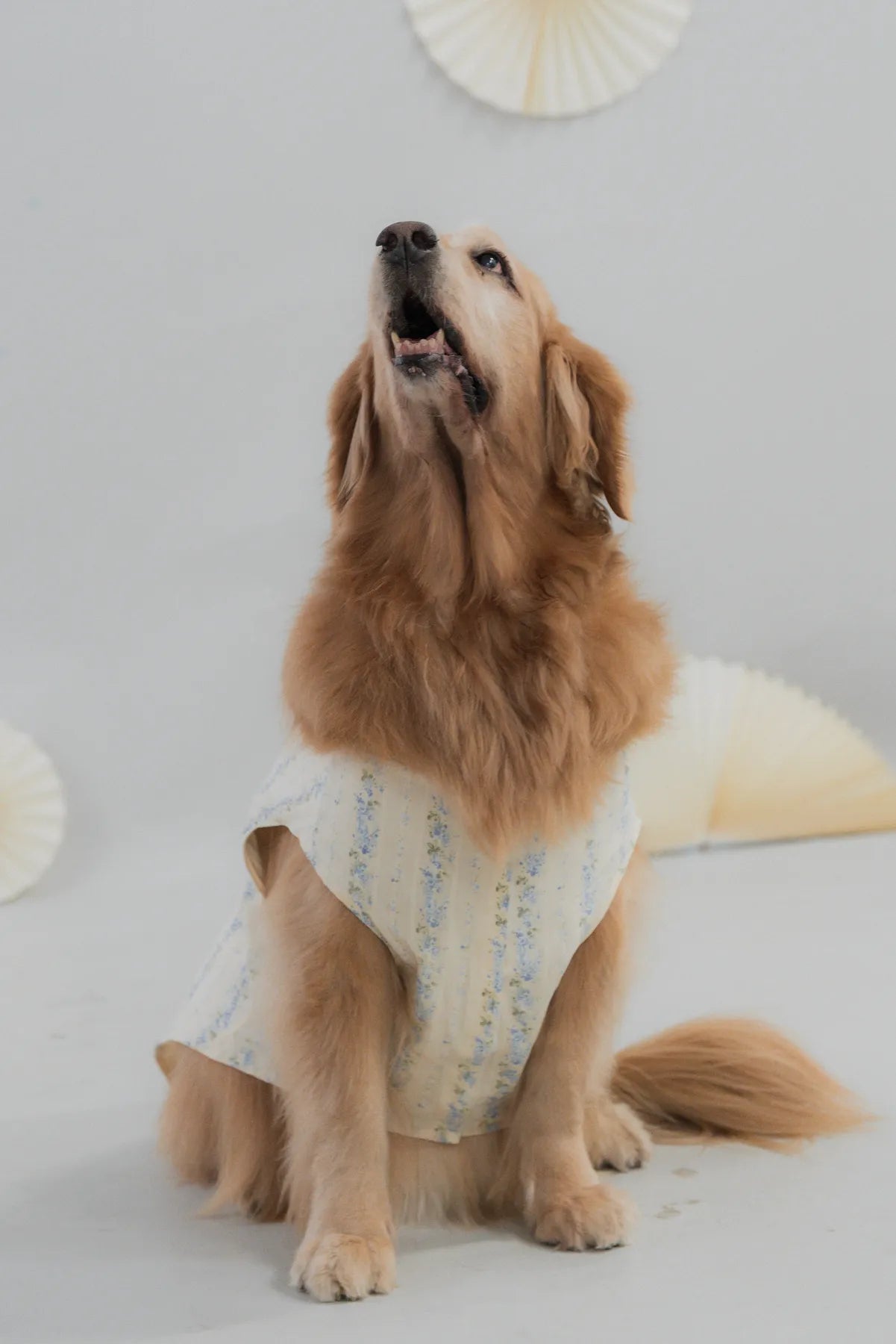 [COL HARU] Haru Matching Pet Vest