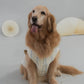 [COL HARU] Haru Matching Pet Vest