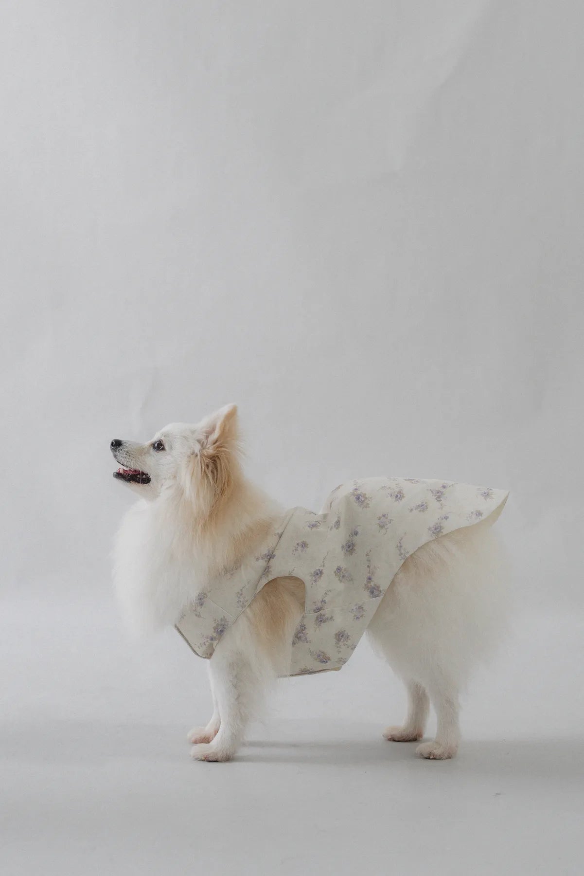 Hana Matching Pet Vest