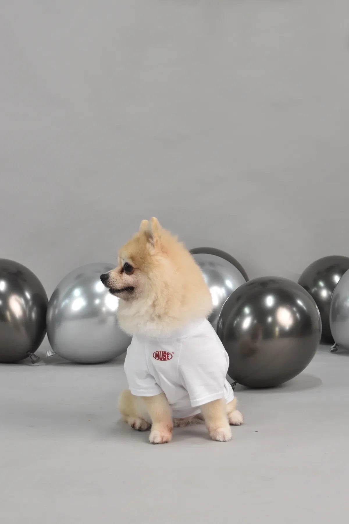 MUSE Buddy 100% Cotton Matching Pet Tee – LIKKA