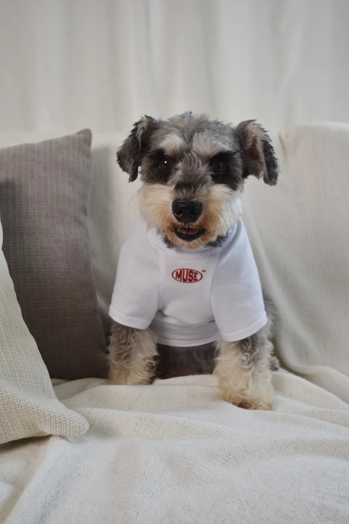 MUSE Buddy 100% Cotton Matching Pet Tee