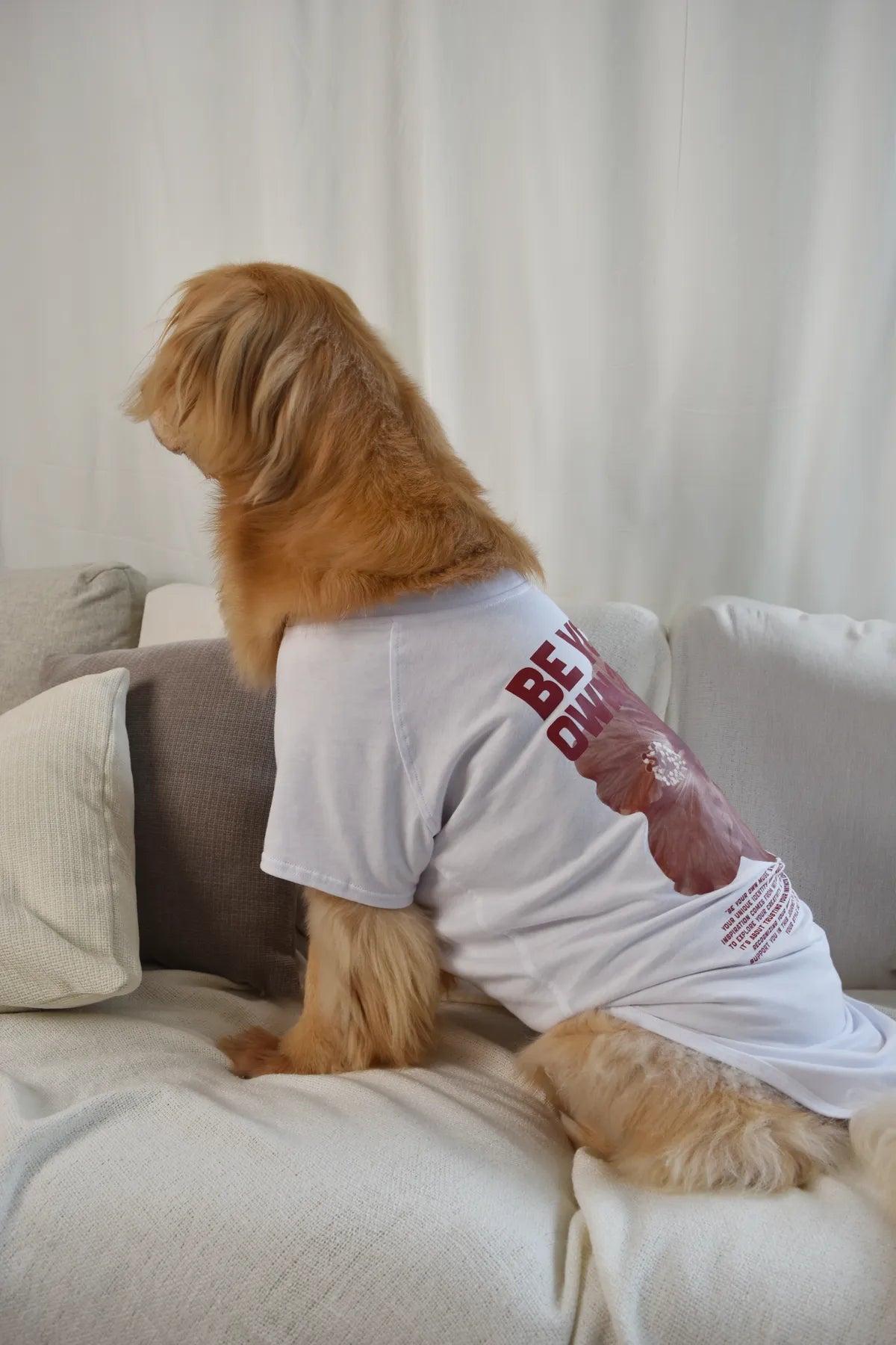 MUSE Buddy 100% Cotton Matching Pet Tee