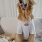 MUSE Buddy 100% Cotton Matching Pet Tee