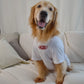 MUSE Buddy 100% Cotton Matching Pet Tee