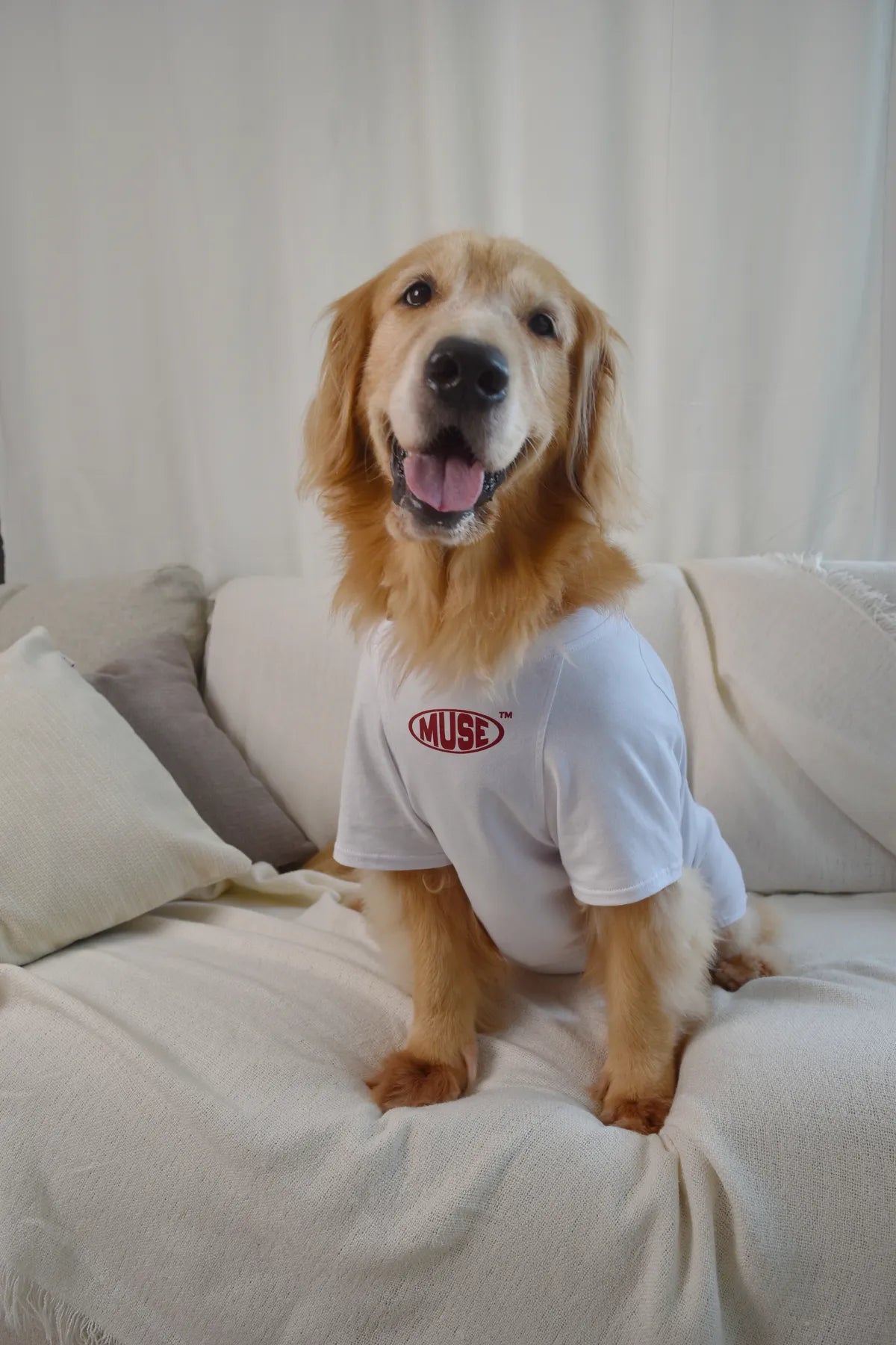 MUSE Buddy 100% Cotton Matching Pet Tee